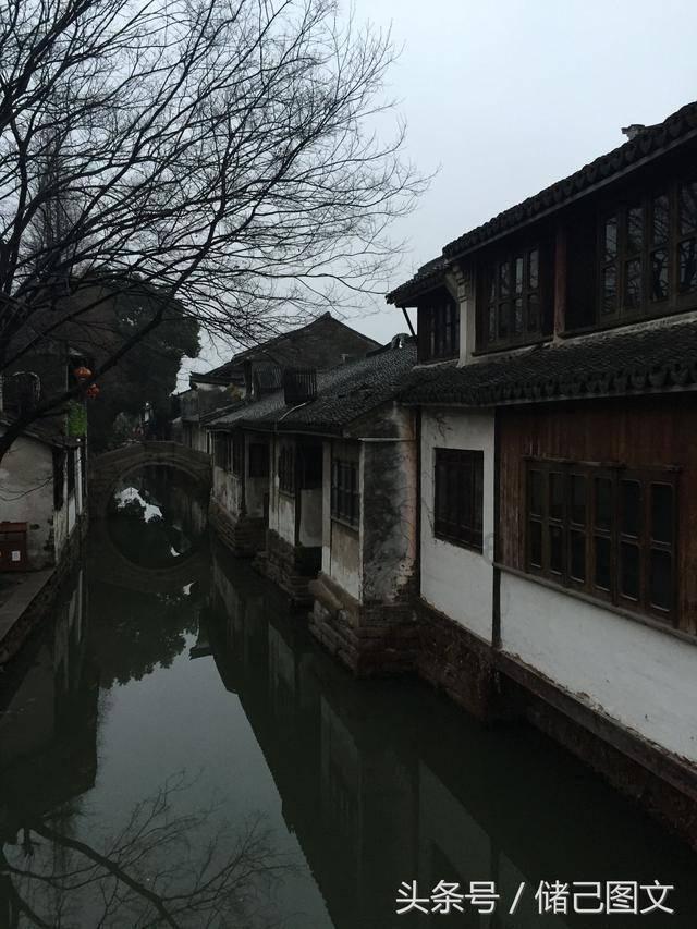 淘气兔救援